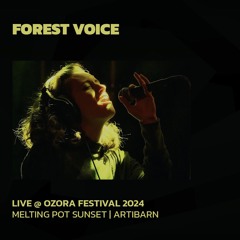 Forest Voice @ Ozora 2024, Melting Pot Sunset | Artibarn