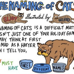 THE NAMING OF CATS - song from the poem by T.S. Eliot (Original Music)