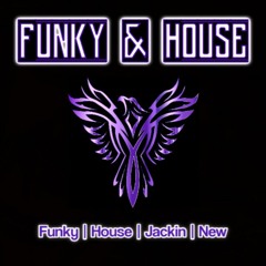 Funky House & House Mix 2023 ⭐DJ Rip⭐