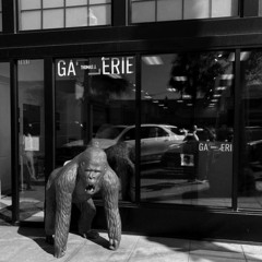Thomas J. GaLLerie