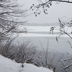 MBX - A Peaceful Morning