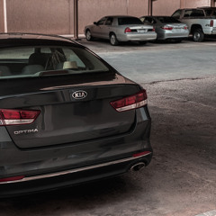 سبحان من صوره