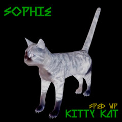 SOPHIE - KITTY KAT (SPED UP)
