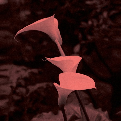 BLNDR - Gorgonidium [Kizen Records]