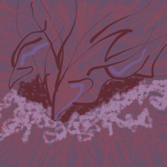 TRUE SHAPE//ETERNAL FRENZY