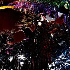 Presence Registration Event