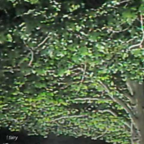 fairy (kir luvpurp)