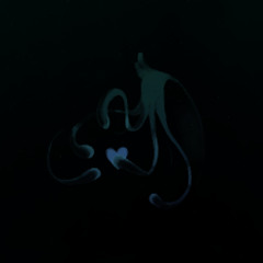 WADING THROUGH NAUGHT [ V2  ]