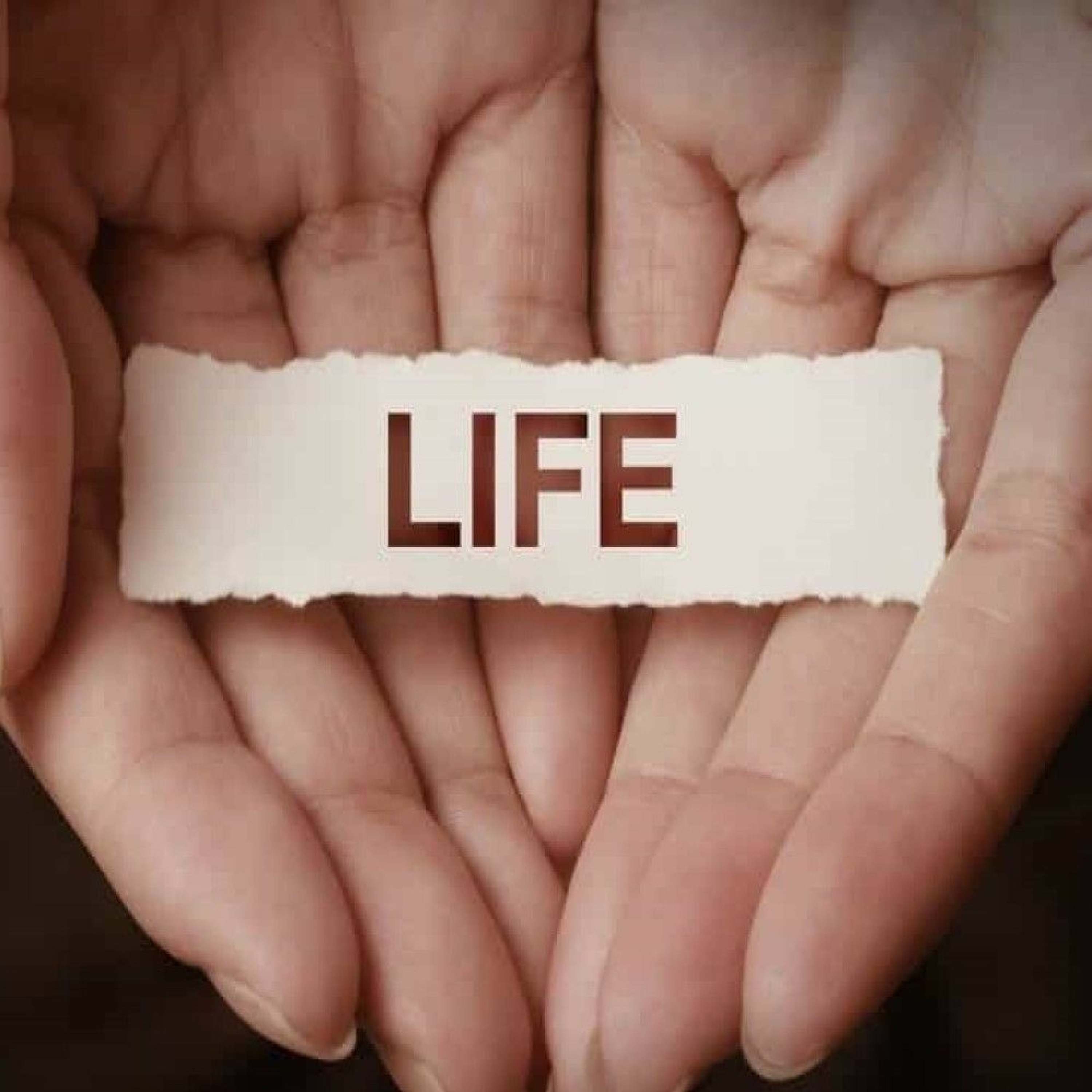 Life As A Gift episode artwork