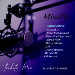 MissFly (Mixed By Ben Dns) [Tribute Mix]