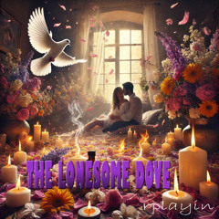 The Lonesome Dove(HD)