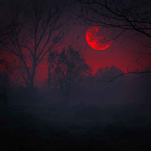 Dark Of The Night W/ Robstar(prod. smokerose)