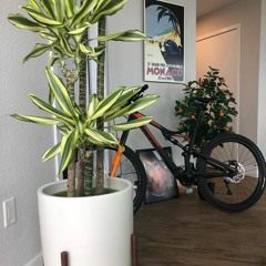 Dont Worry Bout Me Luv (prod. by 2awksick)