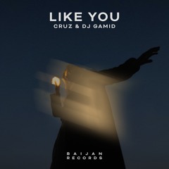 CruZ, DJ Gamid - Like You