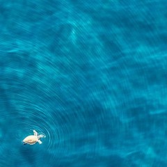 Everything Was Better