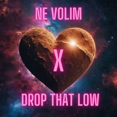 Ne Volim X Drop That Low