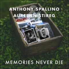 Anthony Spallino & Aurelien Stireg - Memories Never Die (Preview)
