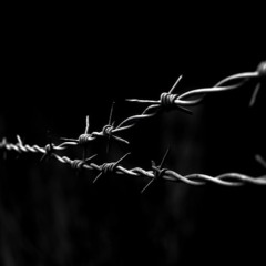WETTLAUF DURCH DEN STACHELDRAHT (OWN MASTER) /// FREE DOWNLOAD \\\