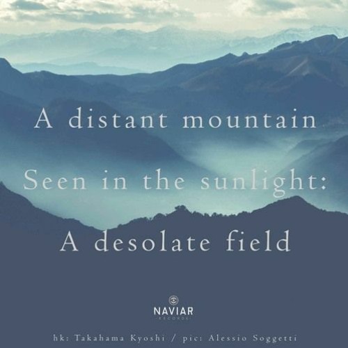 In The Sunlight - (naviarhaiku529)