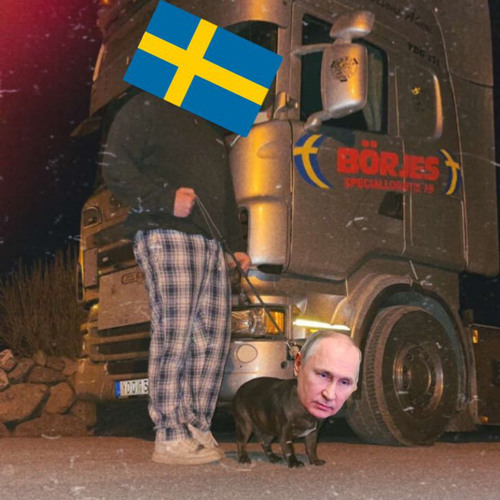 Without You (Avicii ft Sandro Cavazza) SWEDISH VERSION Emil Assegård