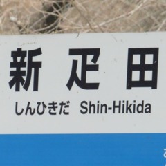 SHINHIKIDALICE ZONE