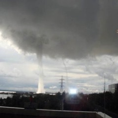 031k files (=^ェ^=)