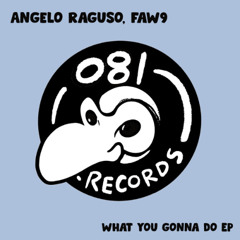 Angelo Raguso FAW9 - Minimal Imperfection (Original Mix) [081 Records]