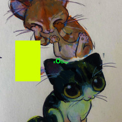 коорды