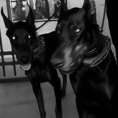 Tunna Flow (ft. Tha heartbreak kid)