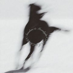 Sunshine & Moonlight