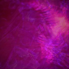 (murmures) ep07 — mio