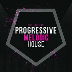 Progressive House Melody pour la vie 27.02.2024