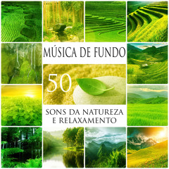Sons da Natureza