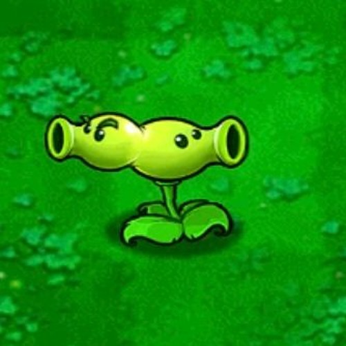 Pisto-Pois Tape B1 - Double-Pois