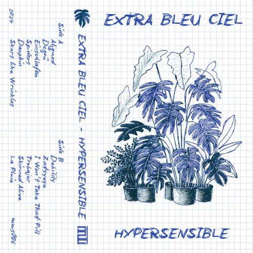 WL//WH Premiere: EXTRA BLEU CIEL "Spiders" off "Hypersensible" LP [META MOTO]