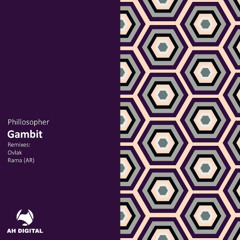 PREMIERE: Phillosopher - Gambit (Original Mix) [AH Digital]