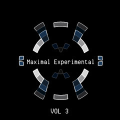 Maximal Experimental Vol 3 - Various