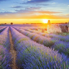 Il n'y a pas d'amour heureux