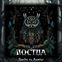 Buche VS Asmiar - Noctua