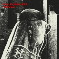 MHLBLCK049 // Minus Magnus - Voices
