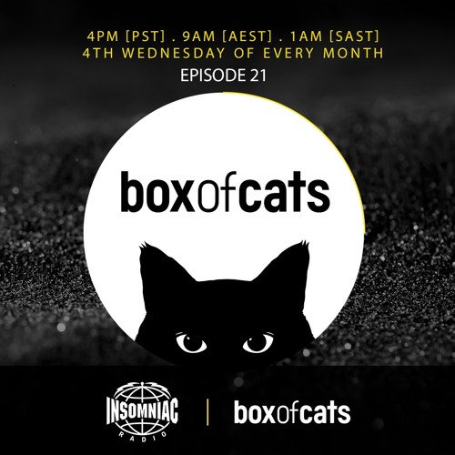 Stream Box Of Cats Radio - Episode 21 by Box Of Cats | Listen online for  free on SoundCloud
