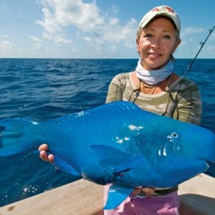 Blue Fish Briclayr