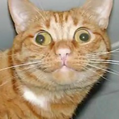 Pryapisme  //Un druide est giboyeux lorsqu_'il se prend pour un neutrino//