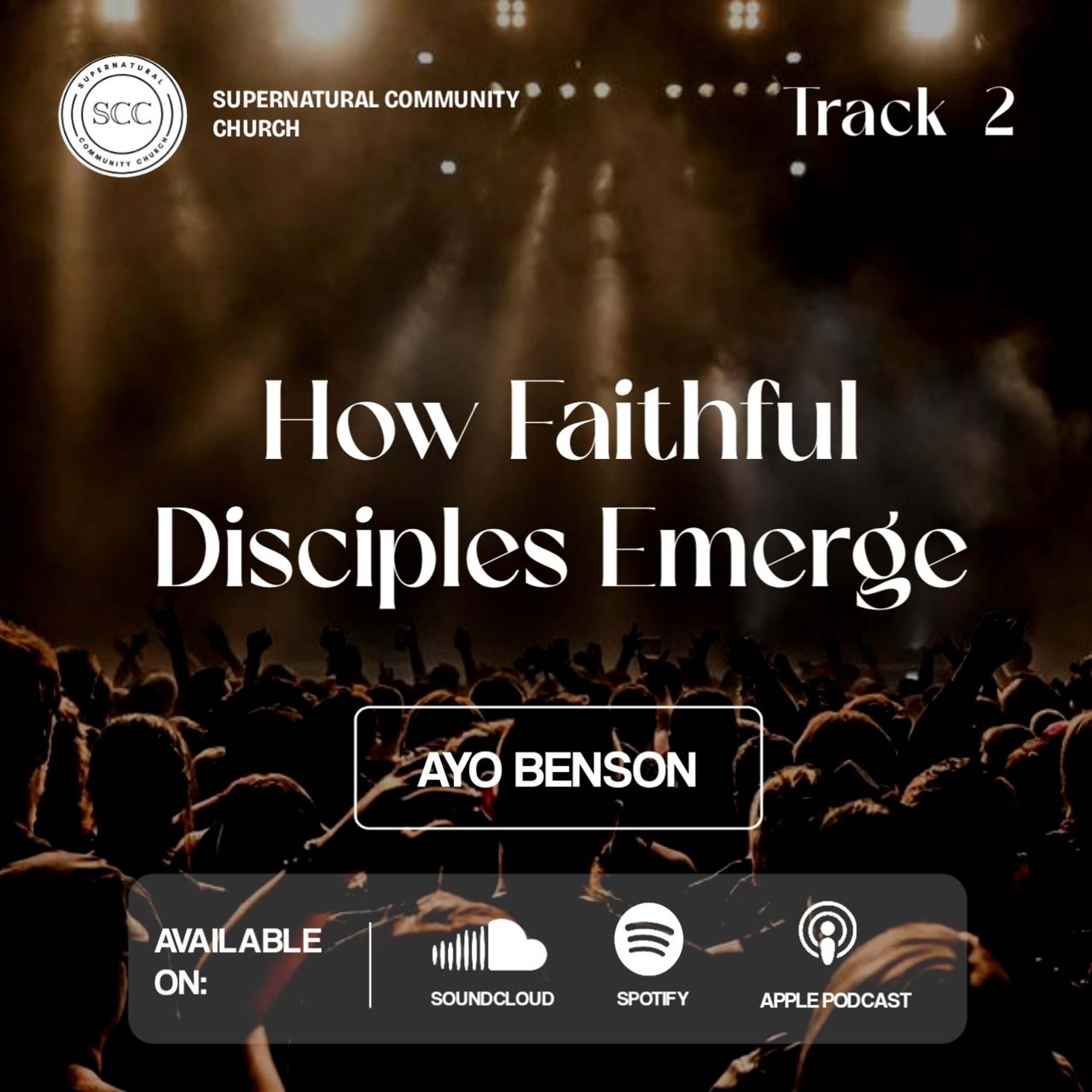 How Faithful Disciples Emerge (2)