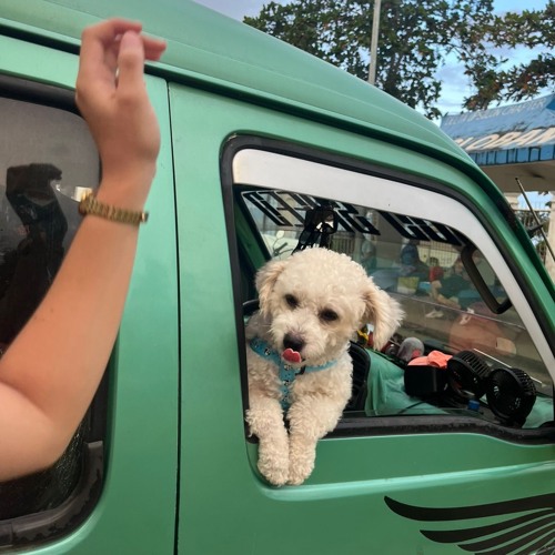 Perry Point VA Medical Center 13.m4a