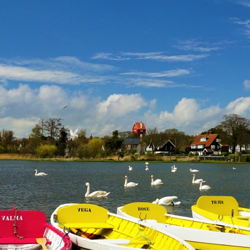 Tchaikovsky - Swan Lake - Pas de deux