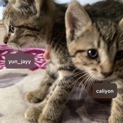 still the same ft caliyon prod luvdakvsh