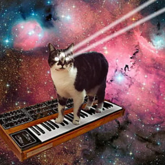 [SET] Shato23 - The Cat