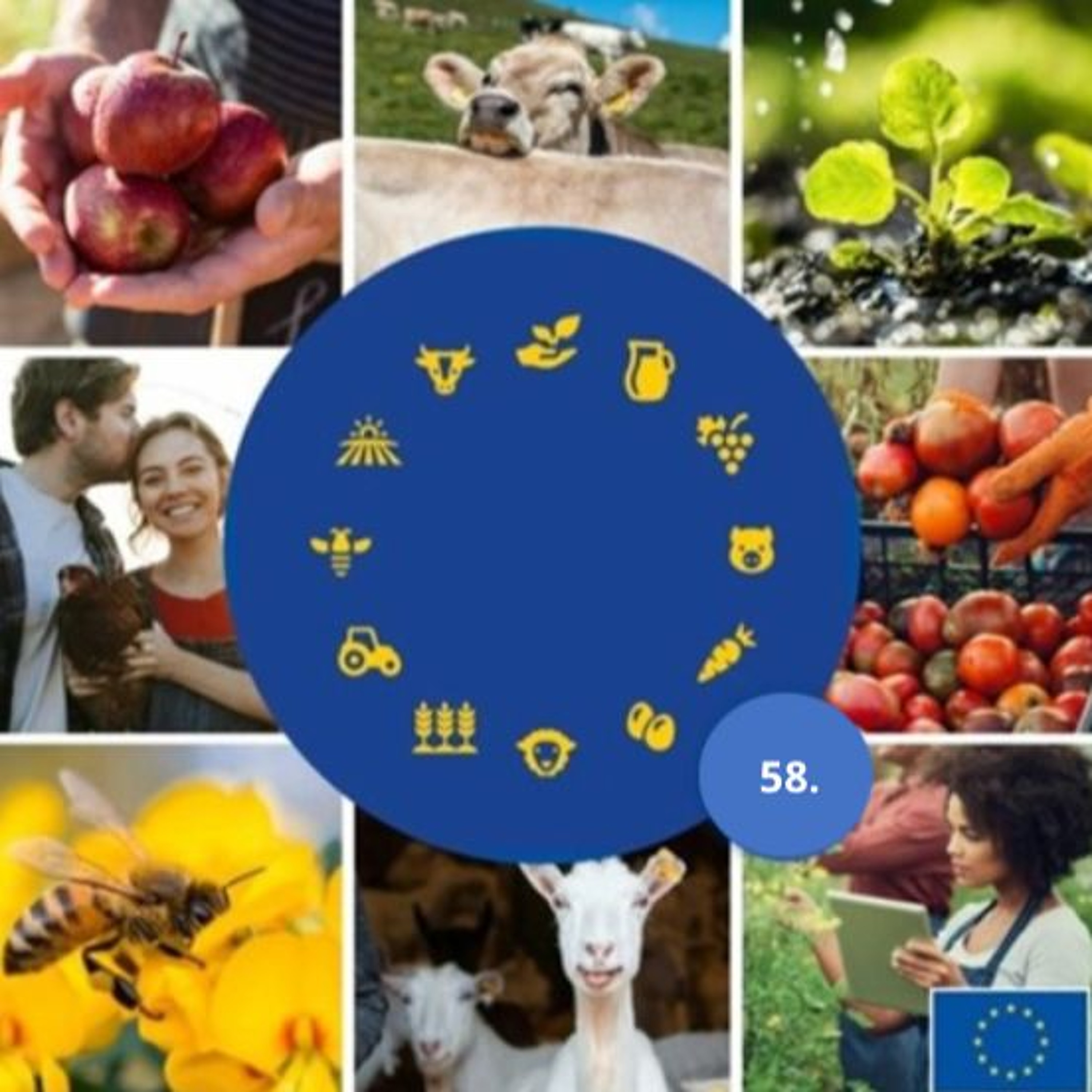 58. Prix du bio : porter haut les couleurs de l’alimentation et de l’agriculture bio en Europe