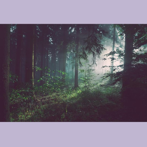 A fairy tale symphony: 3rd movement